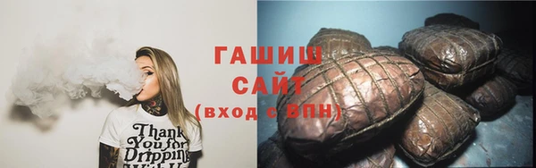 крисы Новодвинск
